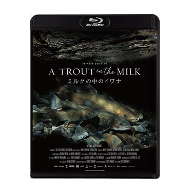 ミルクの中のイワナ Blu-ray &DVD(ミルクの中のイワナBlu-ray)