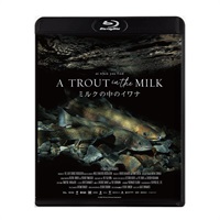 ミルクの中のイワナ Blu-ray &DVD(ミルクの中のイワナBlu-ray)