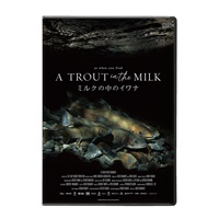 ミルクの中のイワナ Blu-ray &DVD(ミルクの中のイワナDVD)