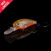 WEB限定 フリクラDR30F