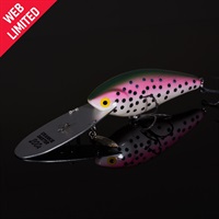 WEB限定　 クランキーダーター200A