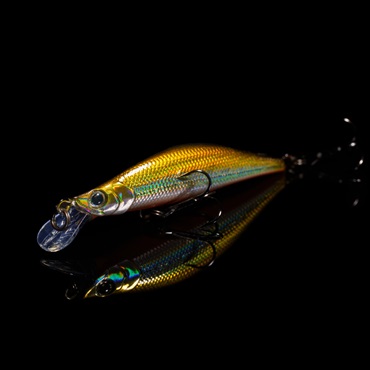 モルフ50SS(モルフ50SS 004LHテネシーシャッド)