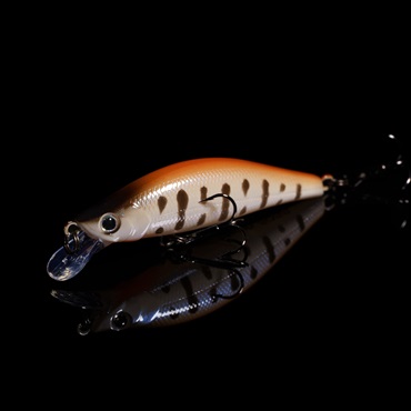 モルフ50SS(モルフ50SS 009オレンジバックパールヤマメ)