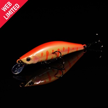 モルフ50SS(モルフ50SS 800アルビノヤマメ)