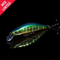 WEB限定 　モルフ50SS