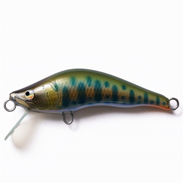 シュリュード50S(シュリュード50S  001ヤマメ)