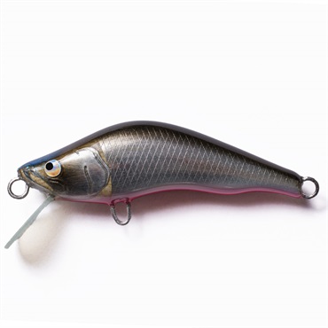 シュリュード50S(シュリュード50S  002ギンクロ)