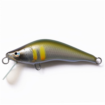 シュリュード50S(シュリュード50S  003アユ)