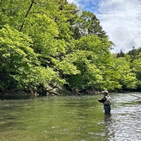 ティムコスタッフと行く北海道・阿寒川ツアー　2026年6月1日～3日