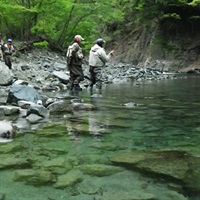 渋谷直人・嶋崎了と行く東北渓流ツアー (現地集合・現地解散）　2026年6月12日～14日