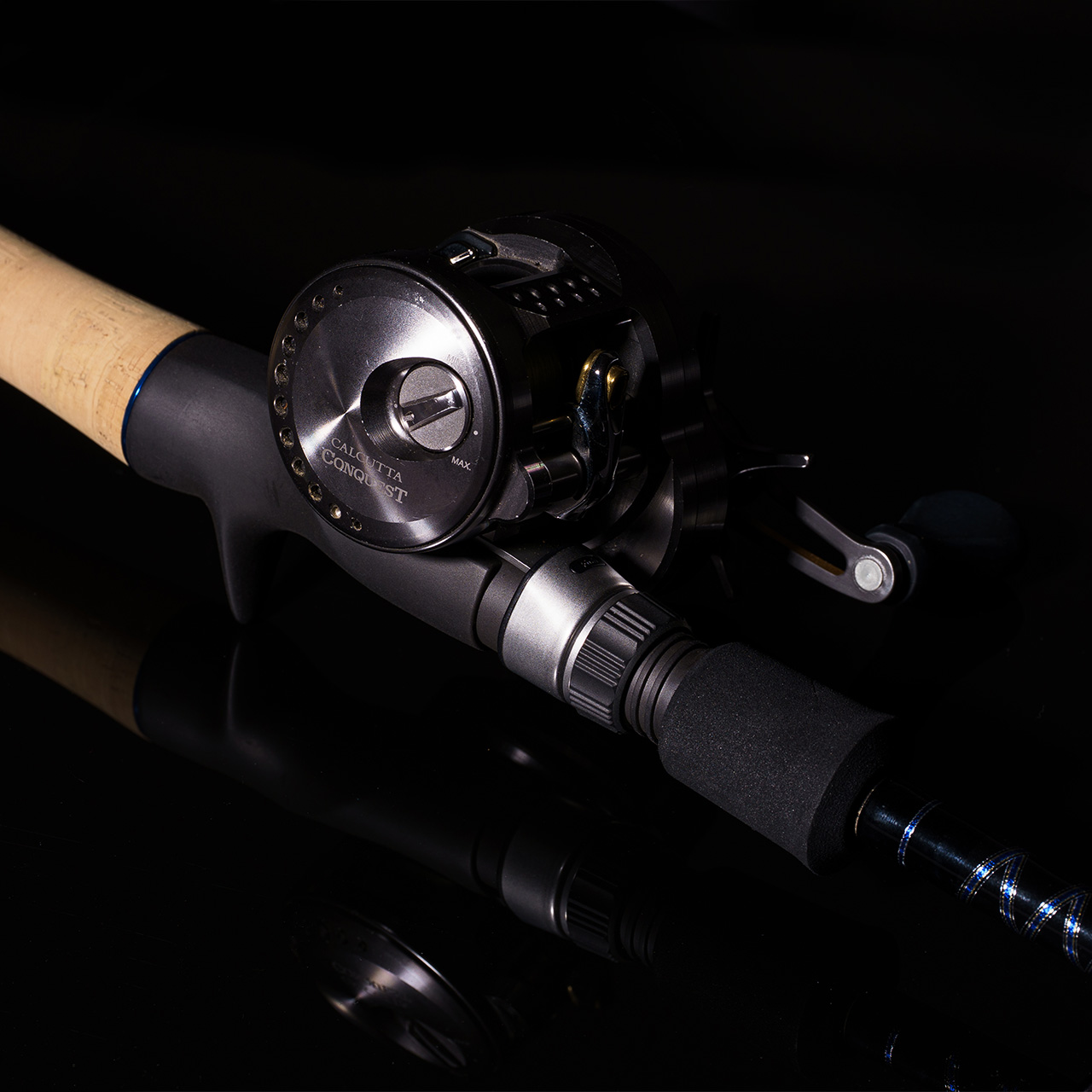 ワールドクラスビスタ