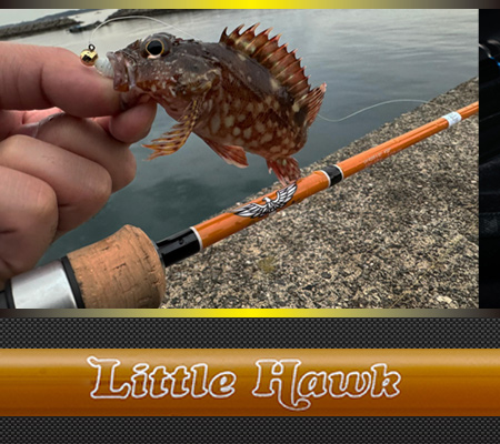 ワールドクラスビスタ