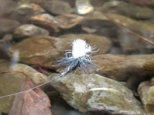 フロータントが必要な理由