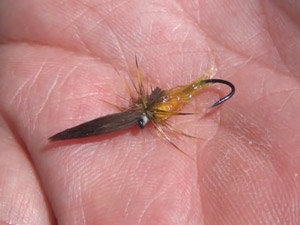 フロータント処理のタイミング