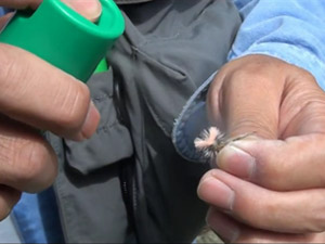 スプレータイプのフロータント