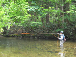 上級者のテクニック
