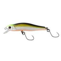 シュマリ 55F エリア