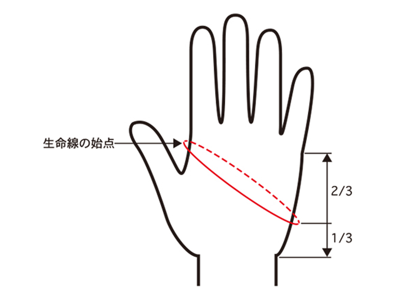 グローブサイズ