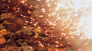 (Red flickering vision of polycarbonate lens)