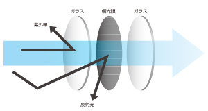 可視光線透過率と偏光度